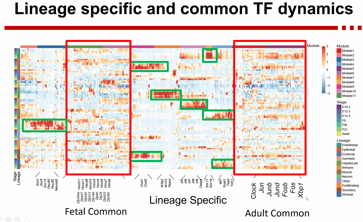 image-20221013172440815