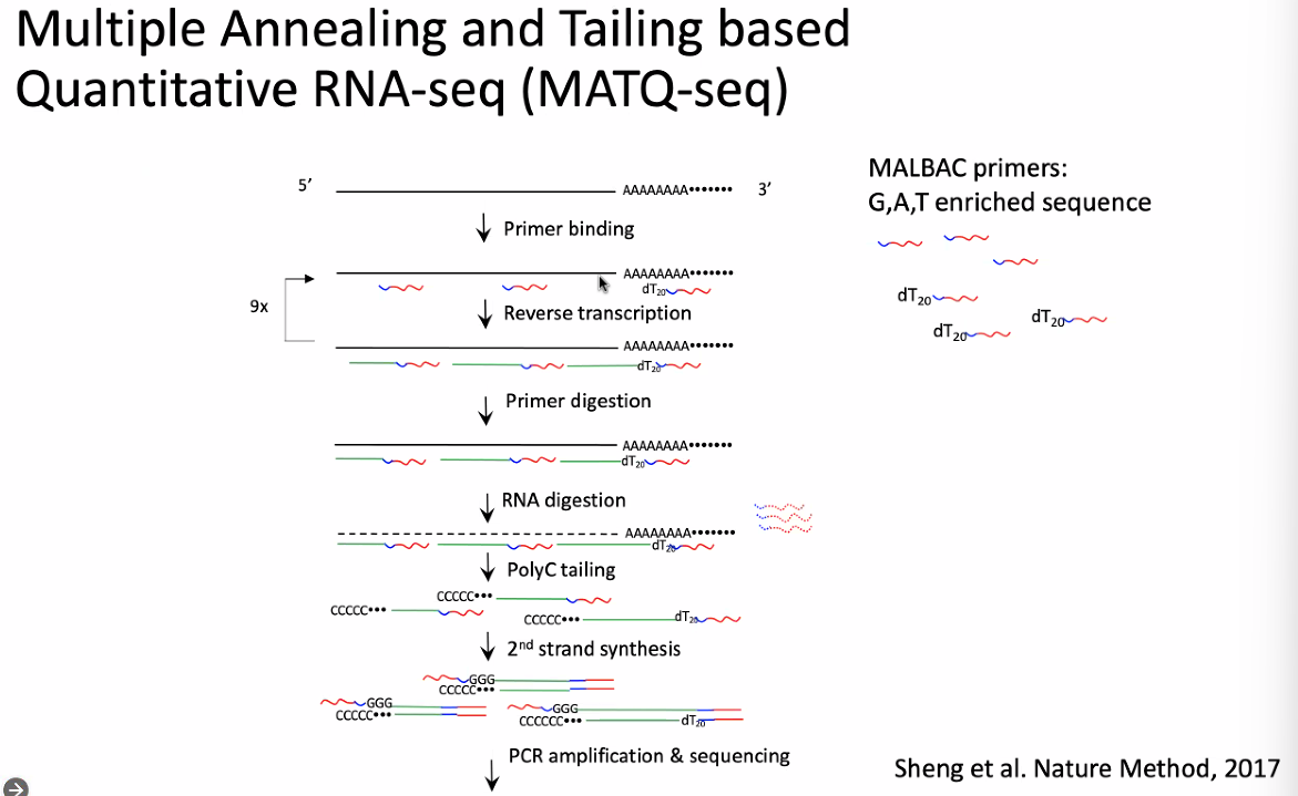 image-20221013174751062