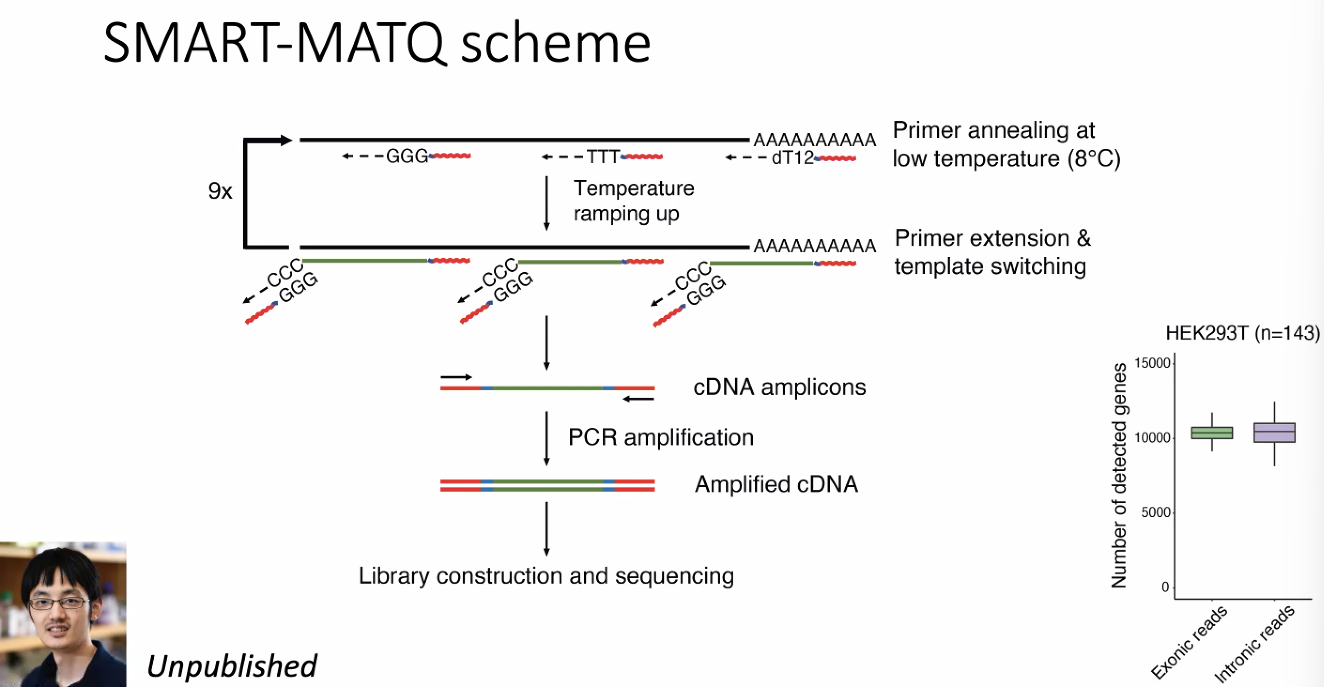 image-20221013174909036