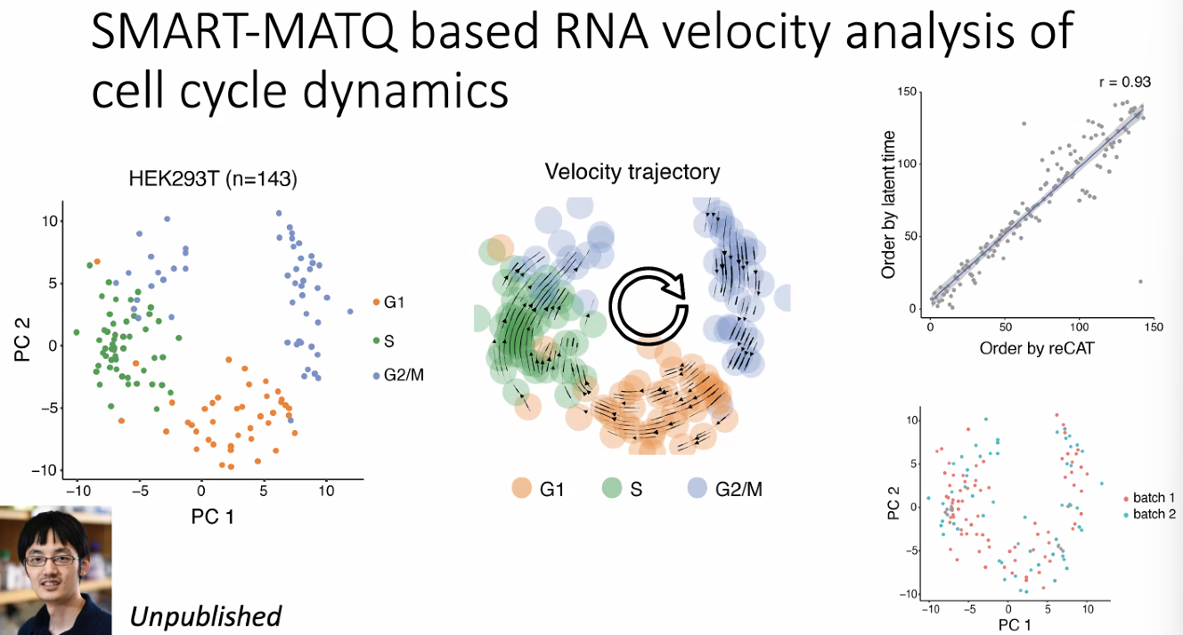 image-20221013175307403