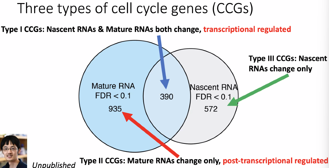 image-20221013175527200