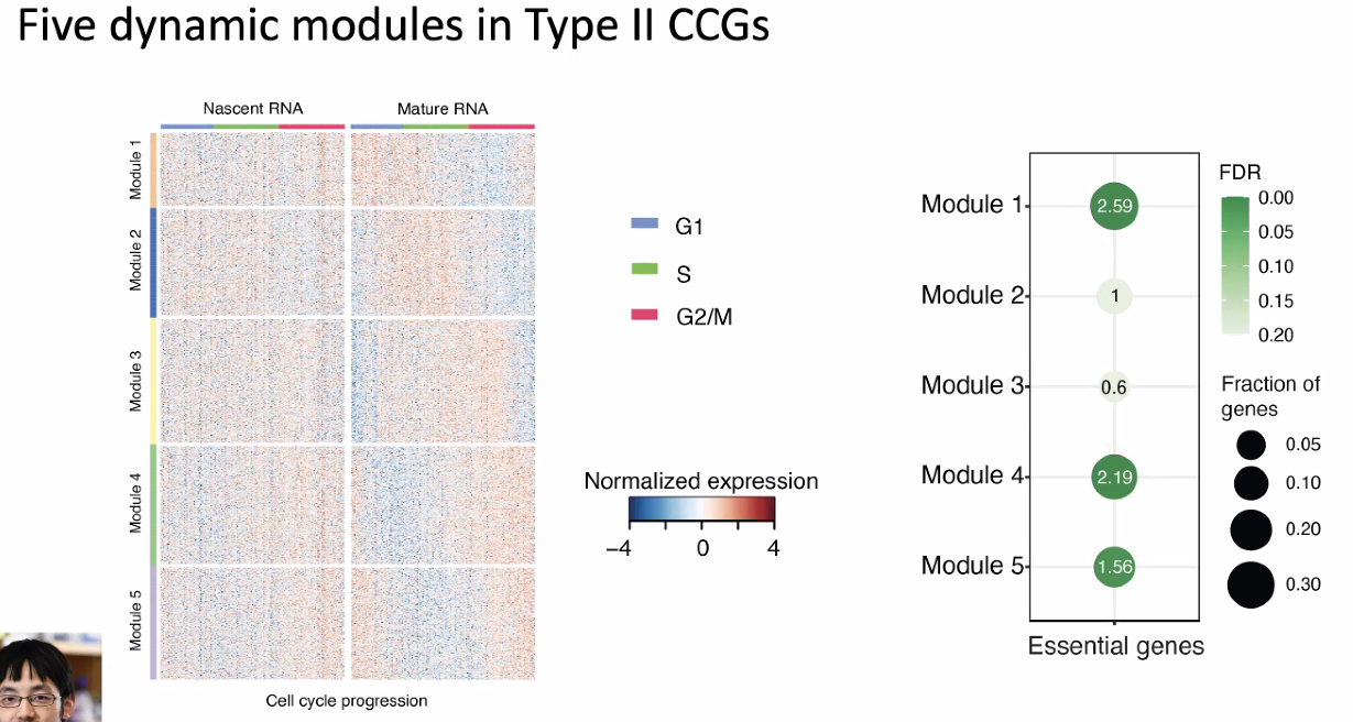 image-20221013180053256