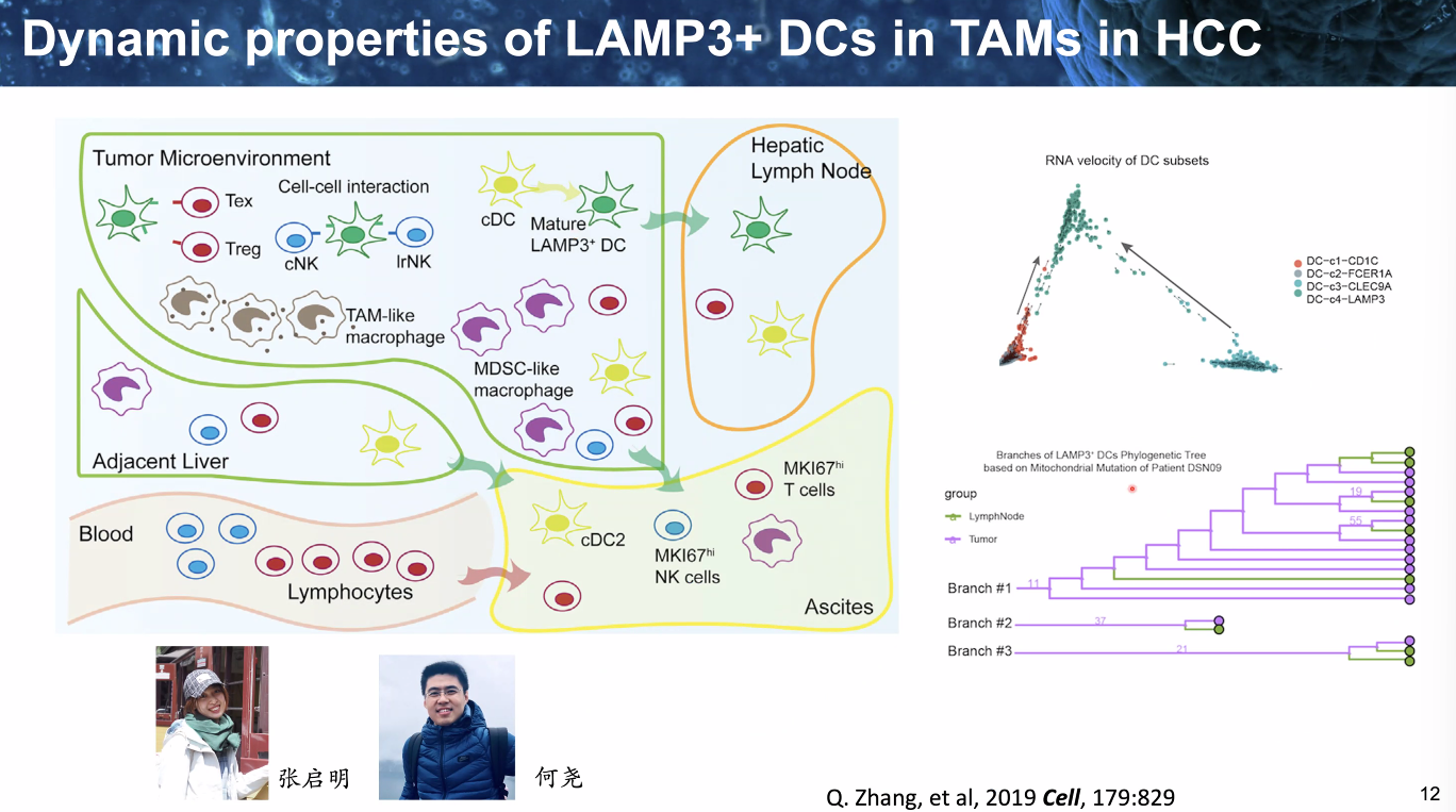 image-20221014111920663