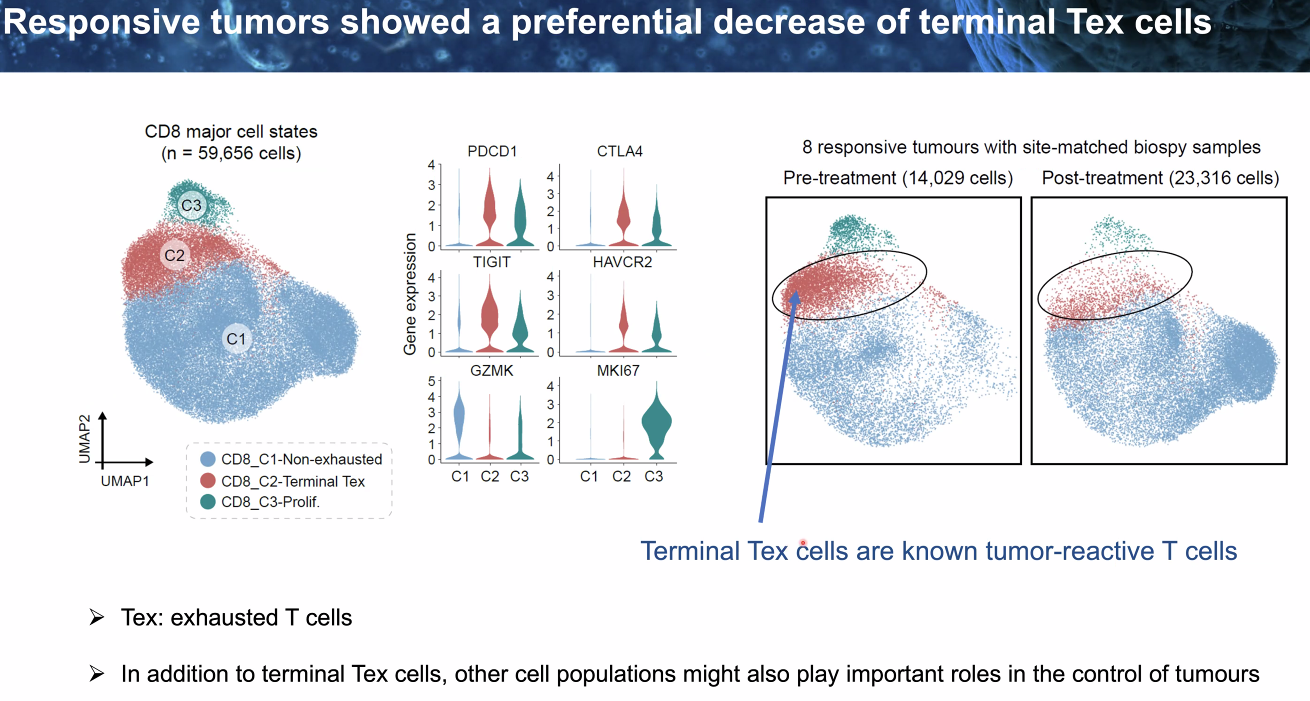 image-20221014112136958