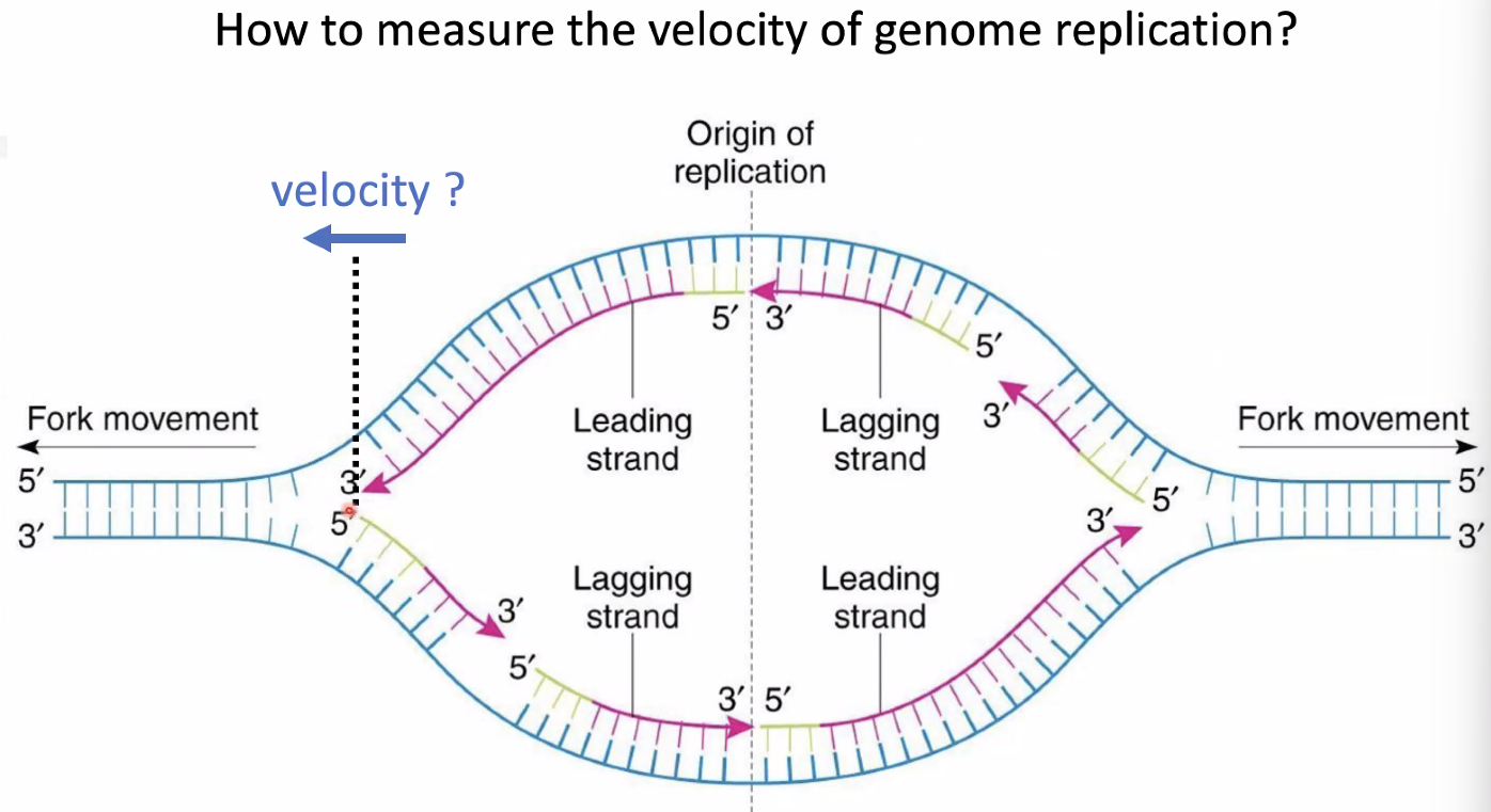 image-20221014153223277