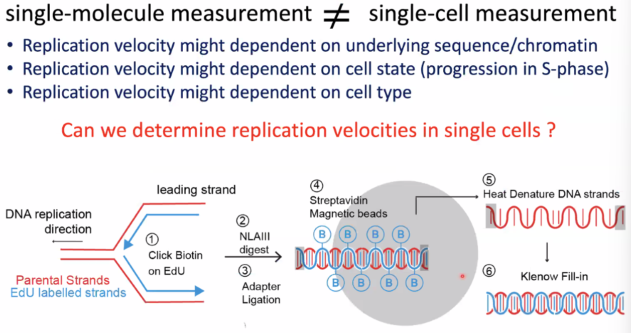image-20221014153556341