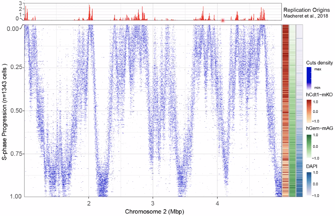 image-20221014153907123