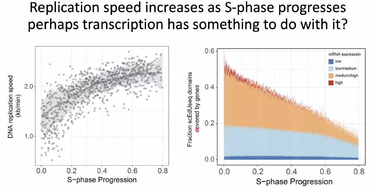 image-20221014154554385