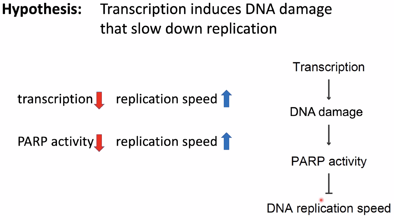 image-20221014154825042
