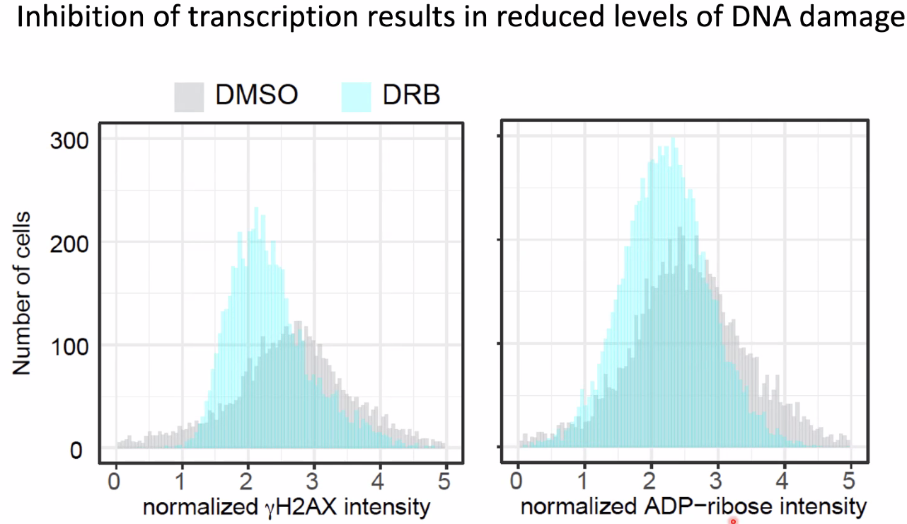 image-20221014154851696