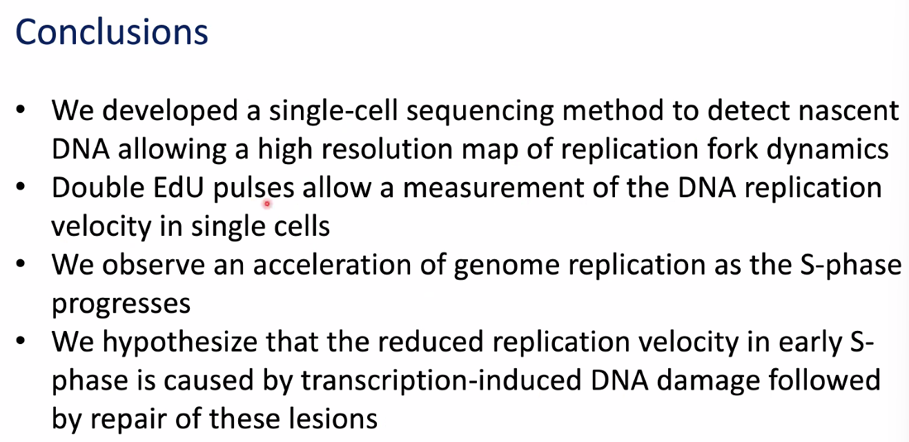 image-20221014155141927