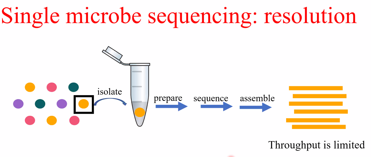 image-20221014160623546