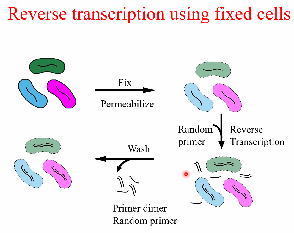 image-20221014160842215