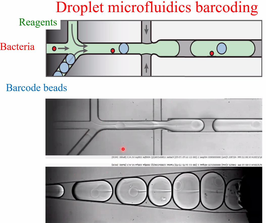 image-20221014160952722