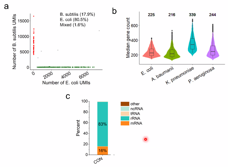 image-20221014161137818