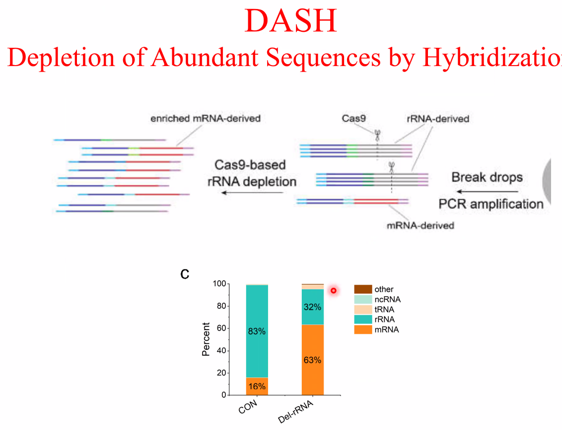 image-20221014161236942