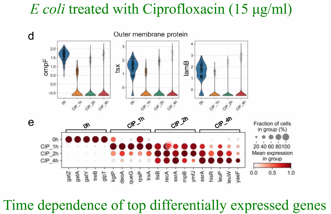 image-20221014161542168