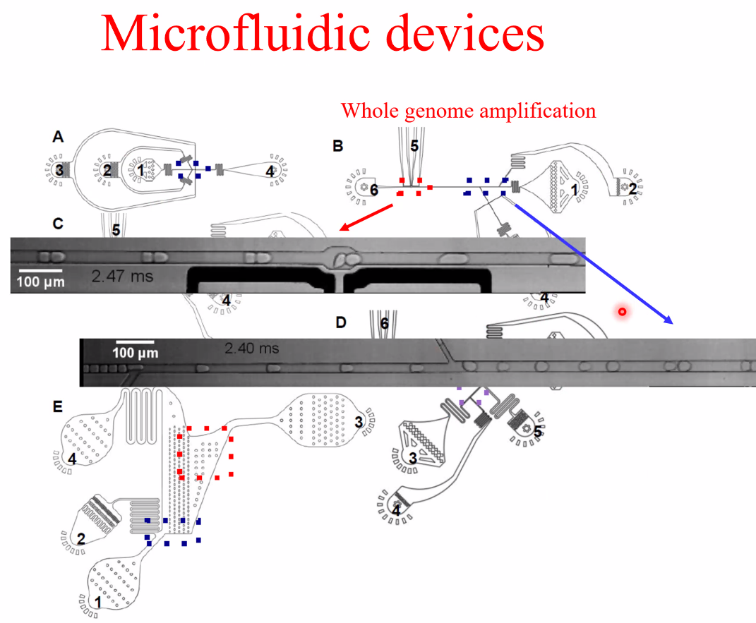 image-20221014161945581