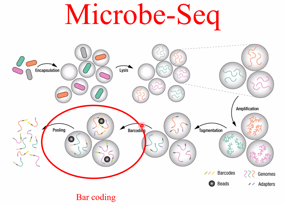 image-20221014162037046