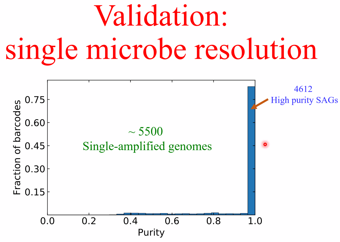 image-20221014162153557