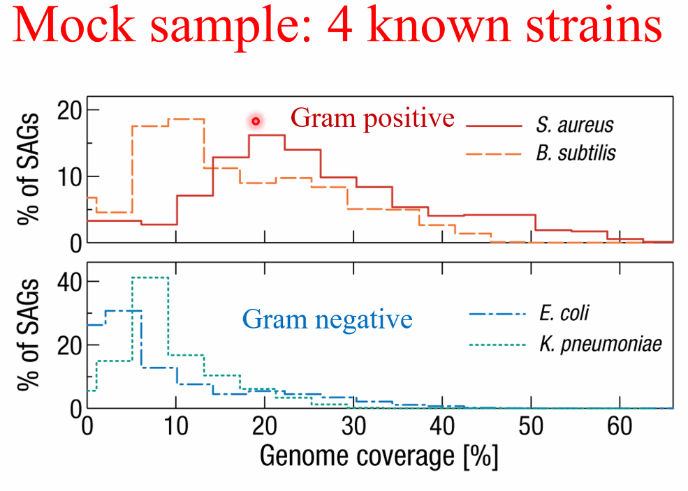 image-20221014162159169