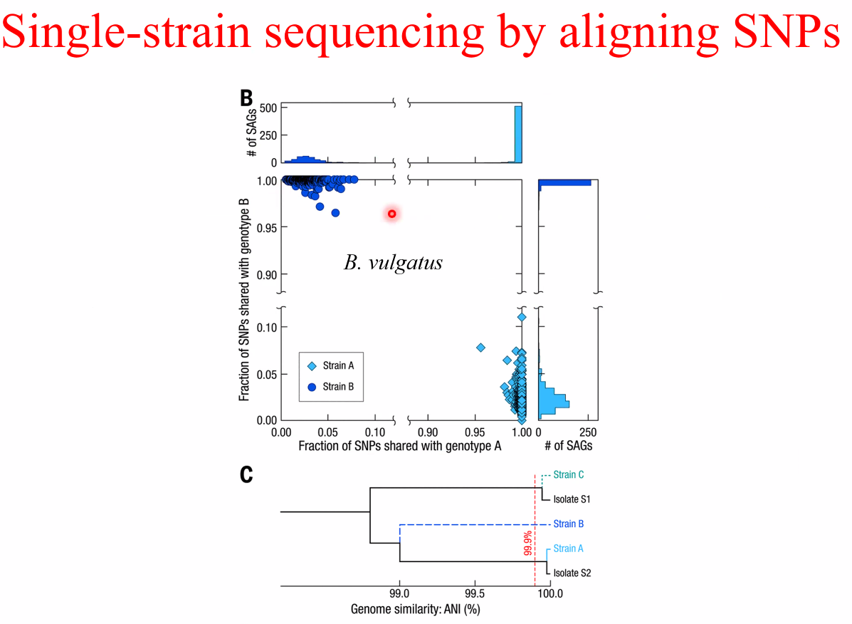 image-20221014162449709