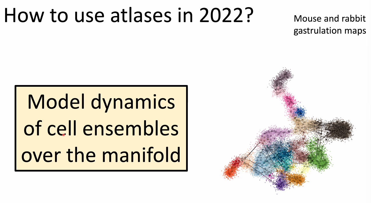 image-20221014164845083