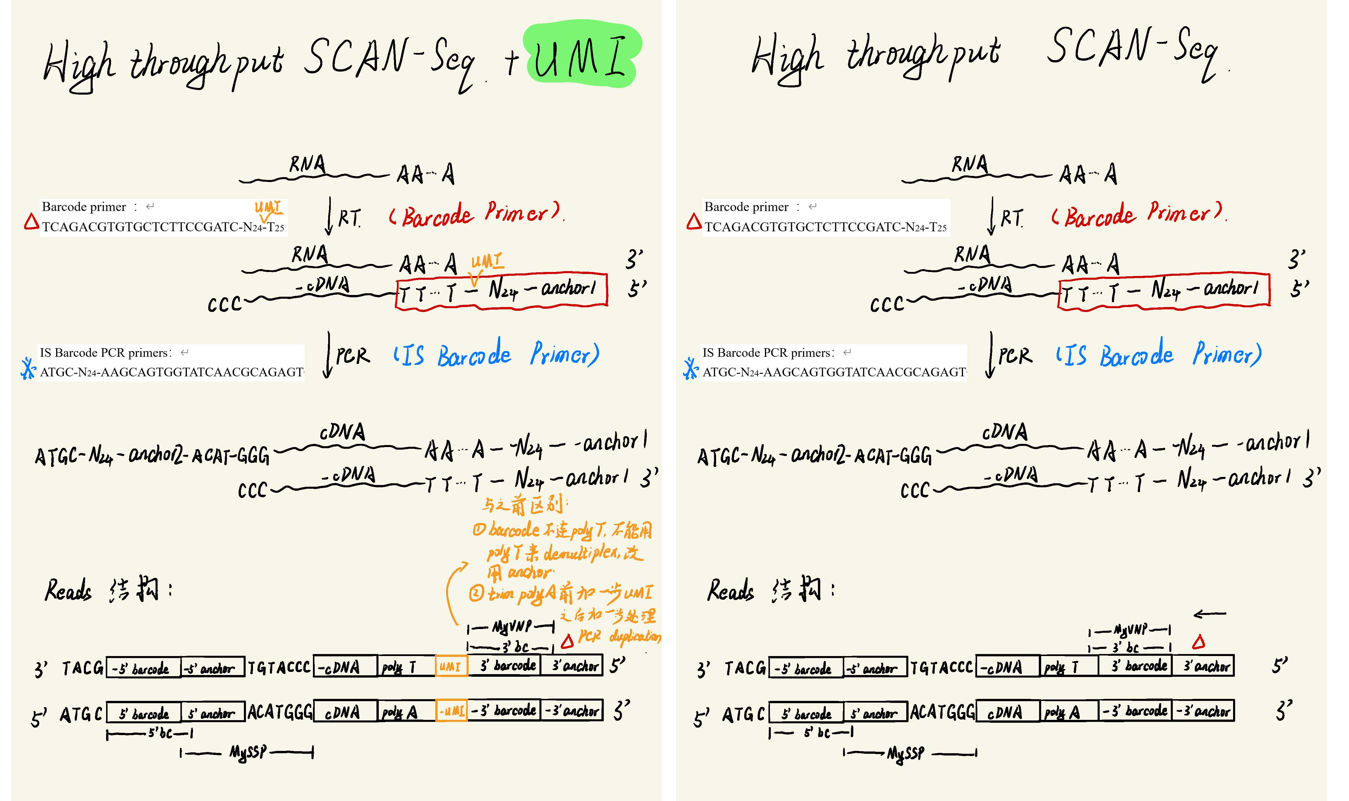 image-20221119153215676